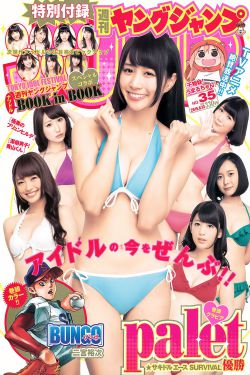 日韩视频导航
